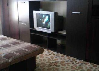 Однокомнатная квартира в аренду, 29 м2, Мурино, Привокзальная площадь, 1Ак1, ЖК Мечта