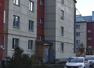 Продаю 3-ком. квартиру, 60.9 м2, село Пестрецы, Казанская улица, 12А