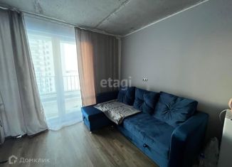 Продам 1-ком. квартиру, 20 м2, деревня Патрушева, улица Александра Пушкина, 14
