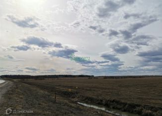 Продается земельный участок, 7000 сот., деревня Дурынина