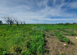 Продажа земельного участка, 25 сот., хутор Приазовка, Азовская улица, 16А