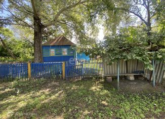 Продаю дом, 38.2 м2, село Александровка, улица Шишковка