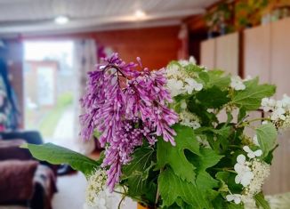 Продам дом, 25 м2, деревня Морово, Орбитная улица