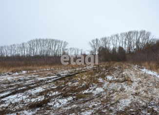 Земельный участок на продажу, 15 сот., село Горяйновка