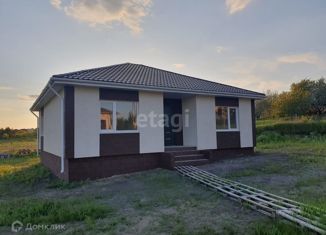 Продаю дом, 95 м2, село Новая Нелидовка