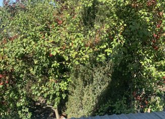 Продам дом, 42.8 м2, деревня Лихун, 1-я Благодатная улица