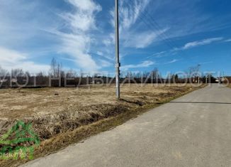 Продаю дом, 250 м2, деревня Бритово