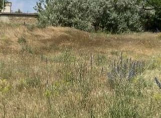 Земельный участок на продажу, 47 сот., село Порфирьевка, Виноградная улица, 2