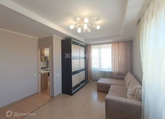 Продажа 1-комнатной квартиры, 31.4 м2, Новосибирская область, улица Плахотного, 15