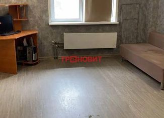 Продается квартира студия, 29 м2, Новосибирск, улица Герцена, 1/2, улица Герцена