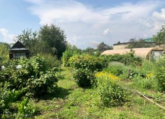 Участок на продажу, 6.5 сот., садоводческое некоммерческое товарищество Восток