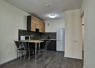 Однокомнатная квартира в аренду, 35.2 м2, поселок Бугры, Гаражный проезд, 27к1