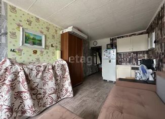 Продажа однокомнатной квартиры, 22.7 м2, Владивосток, Снеговая улица, 125, Первореченский район