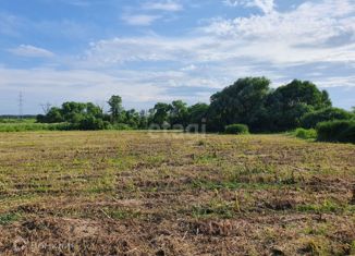 Продажа земельного участка, 8.37 сот., Балабаново