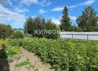 Продается участок, 6.96 сот., садовое товарищество Яблоневый сад № 1, улица Центральная аллея