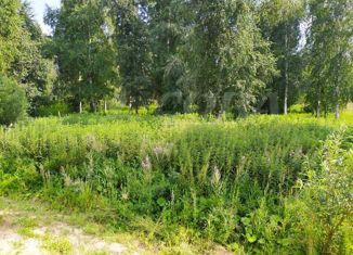 Продам земельный участок, 30 сот., садовое товарищество Сотовик