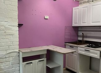 Продажа 1-комнатной квартиры, 30 м2, Санкт-Петербург, улица Шевченко, 17, улица Шевченко