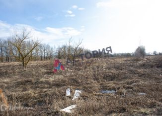 Продам земельный участок, 100 сот., деревня Морозовка