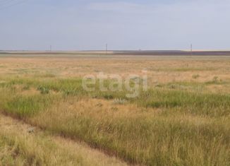 Продажа участка, 904.9 сот., Добрушинское сельское поселение