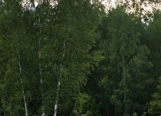 Продается земельный участок, 10 сот., деревня Давыдовское