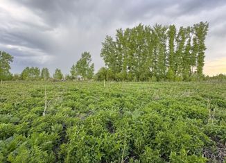 Продаю участок, 14.89 сот., село Елыкаево, Колхозная улица, 23