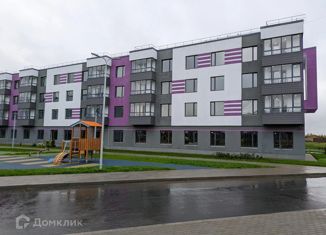 Продаю квартиру студию, 23.5 м2, деревня Малое Верево, улица Кутышева, 9Вк10