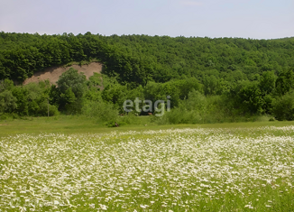 Продам земельный участок, 431 сот., село Безымянное, Таманская улица, 39