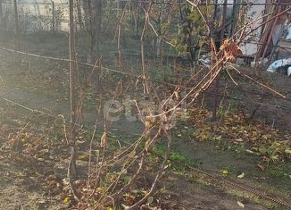 Продаю земельный участок, 9 сот., деревня Цибино