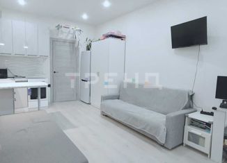 Продам квартиру студию, 25 м2, Санкт-Петербург, проспект Авиаконструкторов, 61, ЖК Полис Приморский