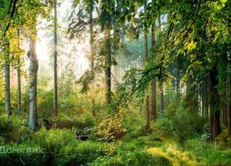 Продается земельный участок, 42 сот., посёлок городского типа Сернур, Центральная площадь