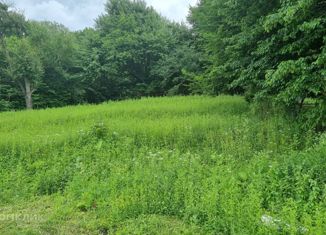 Продажа участка, 55 сот., село Дзуарикау