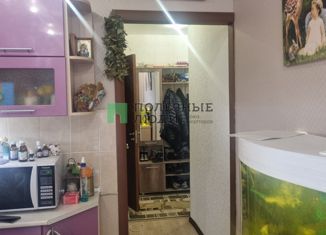 Продаю двухкомнатную квартиру, 45 м2, деревня Хохряки, Тепличная улица, 30