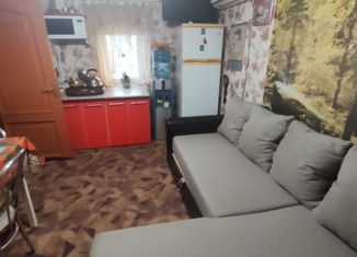 Продажа дома, 39 м2, СОТ Строитель, Цветочная улица