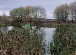 Продам дом, 50 м2, деревня Чублово, деревня Чублово, 8