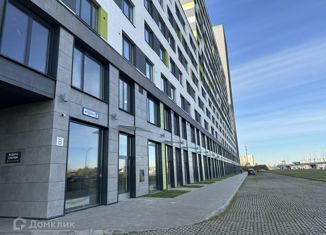 Квартира на продажу студия, 25.5 м2, Санкт-Петербург, Витебский проспект, 99к1, муниципальный округ Гагаринское