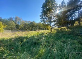 Продам земельный участок, 45 сот., поселок Щапово, Центральная площадь