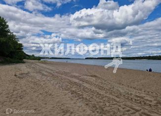 Дом на продажу, 25 м2, дачный посёлок Кудряшовский, улица Виктора Петкау