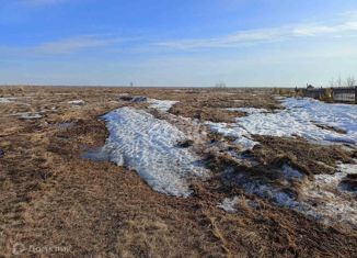 Продам земельный участок, 20 сот., село Преображенка, Новая улица, 24