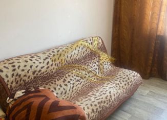 Продам 1-комнатную квартиру, 18.5 м2, Туапсе, улица Галины Петровой, 11