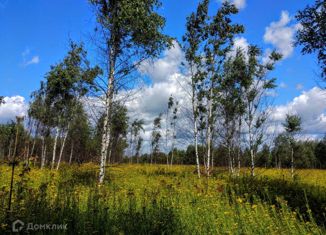 Участок на продажу, 12.88 сот., деревня Виркино