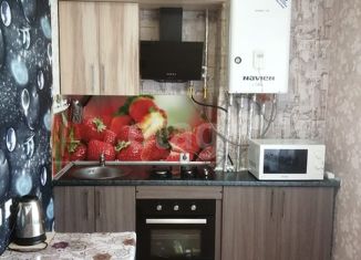 Продажа 1-ком. квартиры, 30 м2, село Троицкое, Тенистая улица, 4