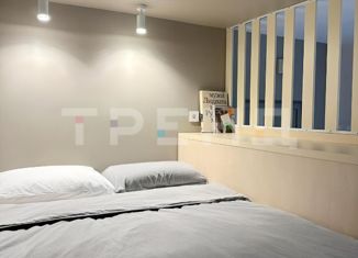 Продажа квартиры студии, 29.6 м2, Санкт-Петербург, Костромской проспект, 14к2, Костромской проспект