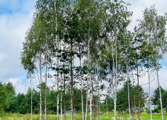 Продаю земельный участок, 12 сот., деревня Крева