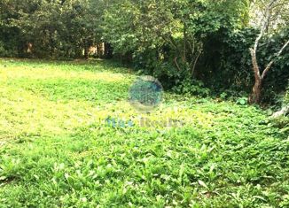 Продам участок, 6.4 сот., деревня Расторопово, СНТ Дубрава, 10