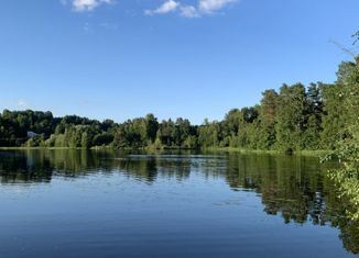 Продается 2-ком. квартира, 41 м2, деревня Рапполово, Овражная улица, 1А