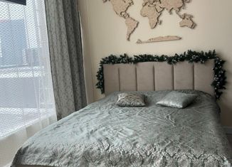 Продам квартиру студию, 25.2 м2, Москва, Автозаводская улица, 23Ак2, Автозаводская улица