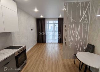 Продам 1-комнатную квартиру, 24.2 м2, Новосибирская область, Светлановская улица, 52