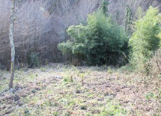 Продается земельный участок, 5 сот., село Ордынка, садоводческое некоммерческое товарищество Прохлада, 33