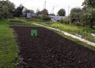 Дом на продажу, 24 м2, деревня Петровское, Виноградная улица, 12А