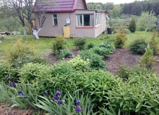 Продается дом, 40 м2, деревня Снегирёвка, Центральная улица